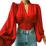 discover style ideas 2024 Popular Spring New Elegant Button V-neck Lantern Sleeve Top Shirt