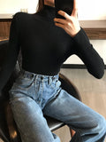 Nukty 2024 Autumn Winter Thick Sweater Women Knitted Ribbed Pullover Sweater Long Sleeve Turtleneck Slim Jumper Soft Warm Pull Femme