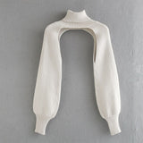 Spring and summer women's sweater casual solid color high neck long sleeve sweater