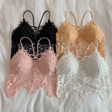 Nukty New Women Hollow Out Bralette Solid Color Beauty Back Lace Underwear Sexy Vest Female Add Pad Wireless Bra Suspender Top