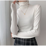 Autumn Women Pullover Tops Female Knitted Sweaters Solid Concise Turtleneck Elasticity Elegant Office Lady Casual All Match