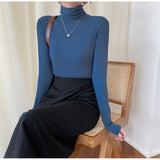 Autumn Women Pullover Tops Female Knitted Sweaters Solid Concise Turtleneck Elasticity Elegant Office Lady Casual All Match