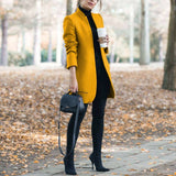 Casual Fashion All Match Women's Coats And Jackets Autumn And Winter New Solid Color Stand Up Collar Ladies Woolen Coat