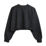 Thick Cotton Oversized Women Sweatshirt Hoodies Casual Loose Long Sleeve Harajuku Streetwear Crop Pullover Plus Size M30375
